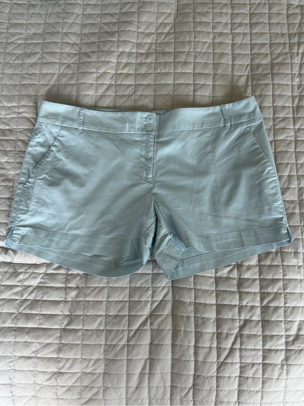 The Limited Light Blue Women's Casual Shorts Size 12